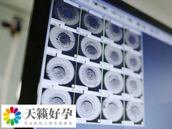 如果都是四級(jí)胚胎怎么辦