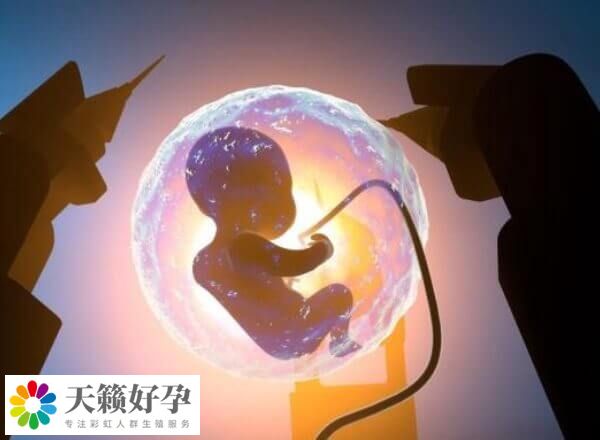 國內和國外的哪些醫院能做t卵p懷生孩子呢？