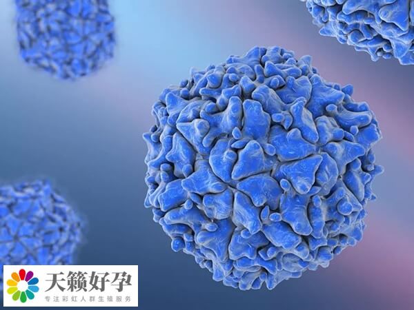 同性戀通過骨髓生育技術成功懷孕的消息是真的嗎？