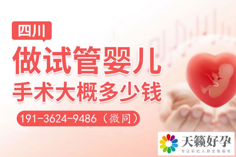 天鋒試管