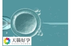 輸卵管切除試管哪里可以做？