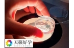 試管移植后胸脹是不是好兆頭